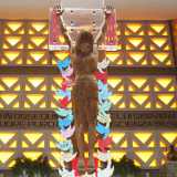 ...e il Cristo crocifisso sulla trasparente croce in plexiglas che �fluttua� sull�altare